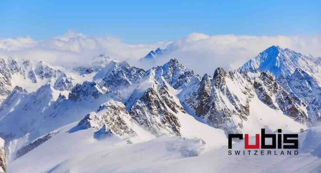 RUBIS Switzerland Pince à épiler sourcils précision professionnelle Suisse l'Officina Paris